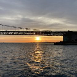 ファミリーフィッシング